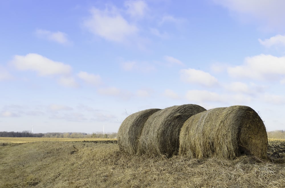 Agricultural landscape Three bales of hay in foreground, wind turbines on horizon, on a mild winter morning in northern Illinois-2